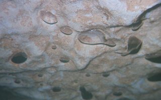 Cavern Roof